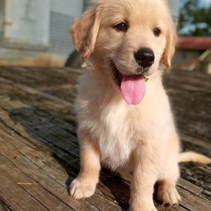 Meet your Posher, Lydia